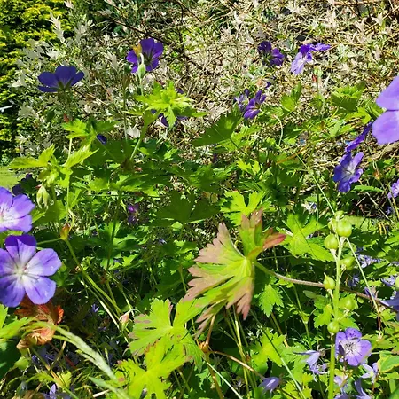 1 Im Haus Windjammer סנט פטר-אורדינג